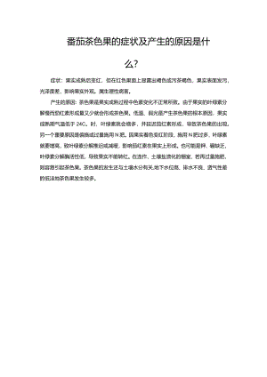 番茄茶色果的症状及产生的原因是什么？.docx