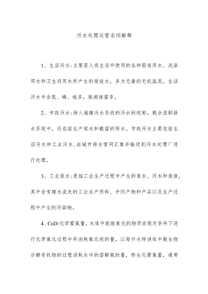 污水处理运营名词解释.docx