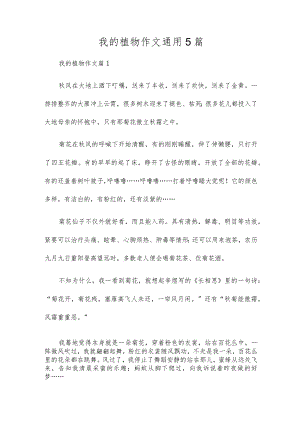 我的植物作文通用5篇.docx