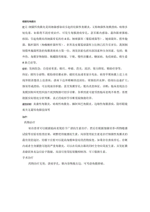 眼科学资料：细菌性角膜炎.docx