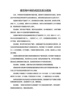 番茄卷叶病的成因及救治措施.docx