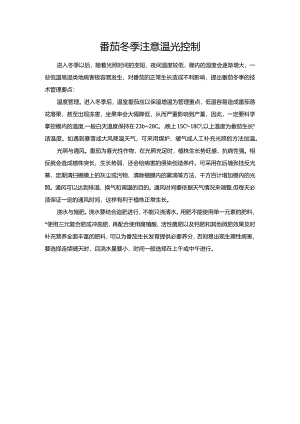 番茄冬季注意温光控制.docx