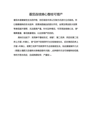 番茄连续摘心整枝可增产.docx