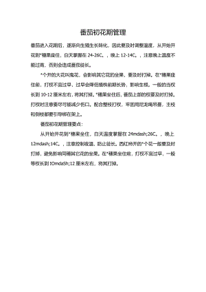 番茄初花期管理.docx