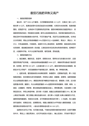 番茄巧施肥早熟又高产.docx