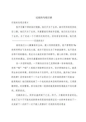 迁徙的鸟观后感.docx