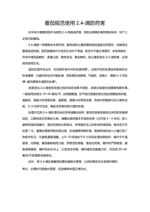 番茄规范使用24-滴防药害.docx
