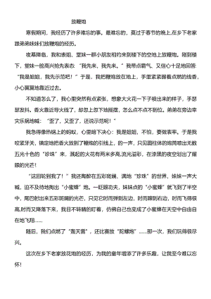 春节趣事作文《放鞭炮》600字.docx