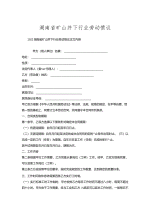 湖南省矿山井下行业劳动协议.docx