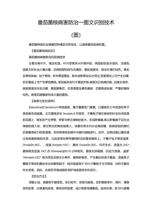 番茄菌核病害防治—图文识别技术（图）.docx