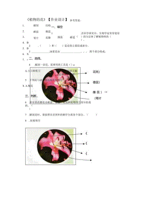 粤教版科学三年级下册15植物的花练习.docx