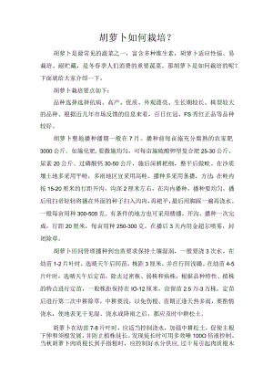 胡萝卜如何栽培？.docx