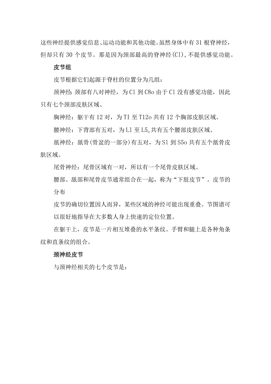皮节分布及对应神经根病变定位诊断.docx_第2页