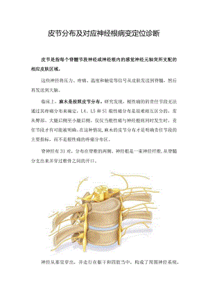 皮节分布及对应神经根病变定位诊断.docx
