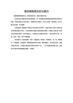 番茄横裂果及防治要点.docx