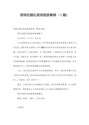 领导在婚礼现场致辞集锦（3篇）.docx