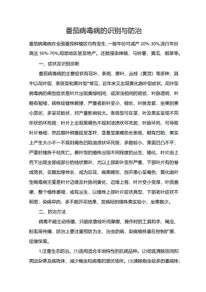 番茄病毒病的识别与防治.docx