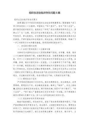 组织生活会批评存在问题5篇.docx