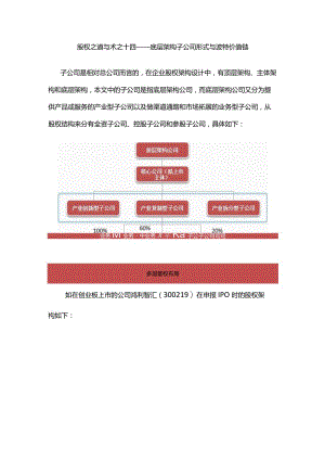 股权之道与术（十四）-——底层架构子公司形式与波特价值链.docx