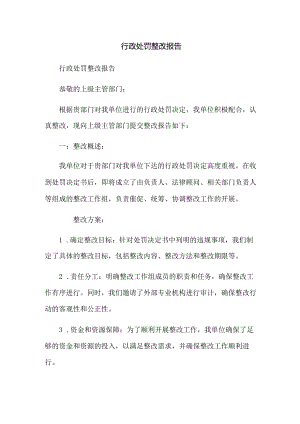 行政处罚整改报告.docx