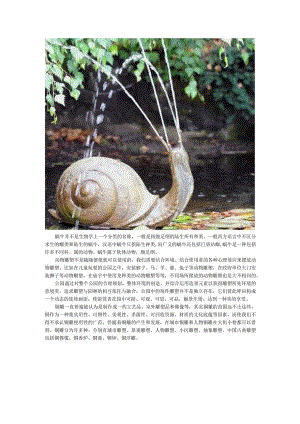蜗牛公园铜雕动物雕塑.docx