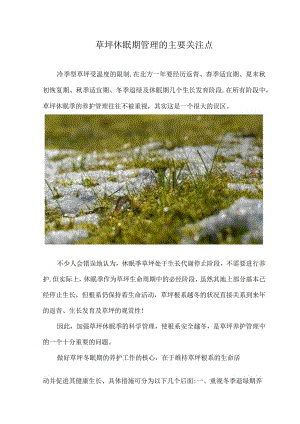 草坪休眠期管理技术要点.docx