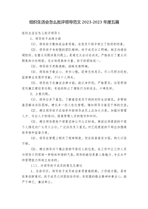 组织生活会怎么批评领导范文2023-2023年度五篇.docx