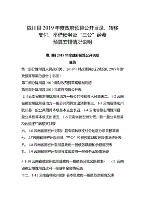 红塔区“三公”经费及转移支付、债务管理等情况说明一.docx