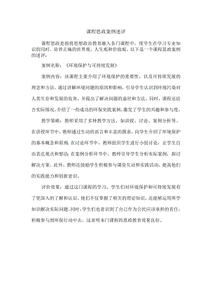 课程思政案例述评.docx