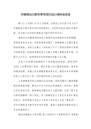 组织开展根治欠薪冬季专项行动心得体会发言2篇.docx