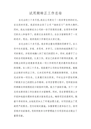 试用期转正工作总结.docx