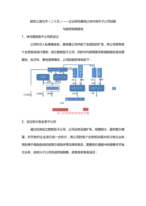 股权之道与术（二十五）-——企业架构重组之体内体外子公司创建与股权转换路径.docx