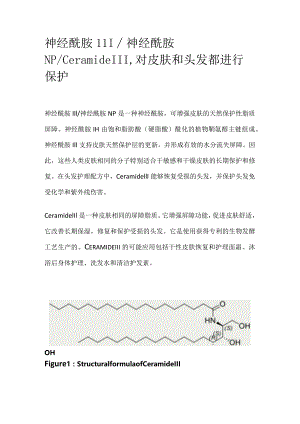 神经酰胺III.docx