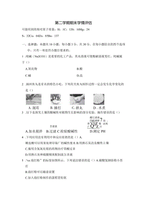 第二学期期末学情评估卷（含答案）.docx
