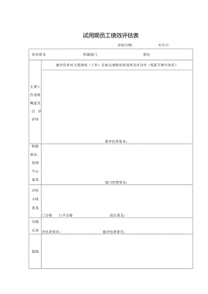 试用期员工绩效评估表.docx