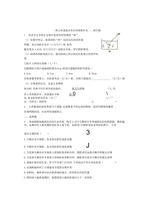 第五章透镜及其应用寒假作业.docx
