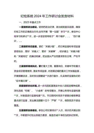 纪检系统2024年工作研讨会发言材料10.docx