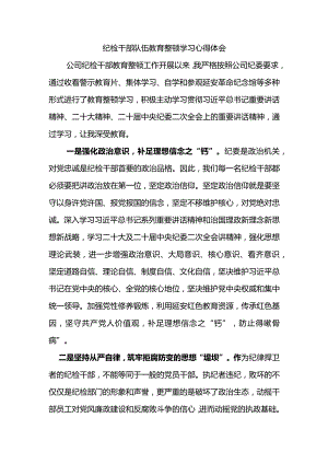 纪检干部队伍教育整顿学习心得体会.docx