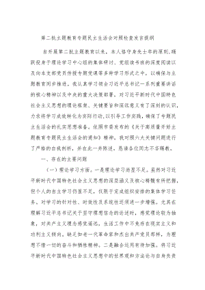第二批主题教育专题民主生活会对照检查发言提纲.docx