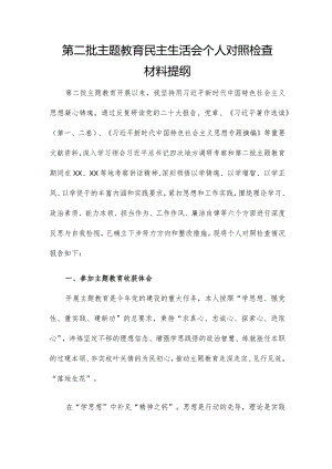 第二批主题教育民主生活会个人对照检查材料提纲.docx