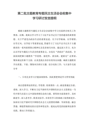 第二批主题教育专题民主生活会会前集中学习研讨发言提纲.docx