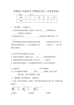 苏教版六年级科学下册期末考试(及参考答案).docx
