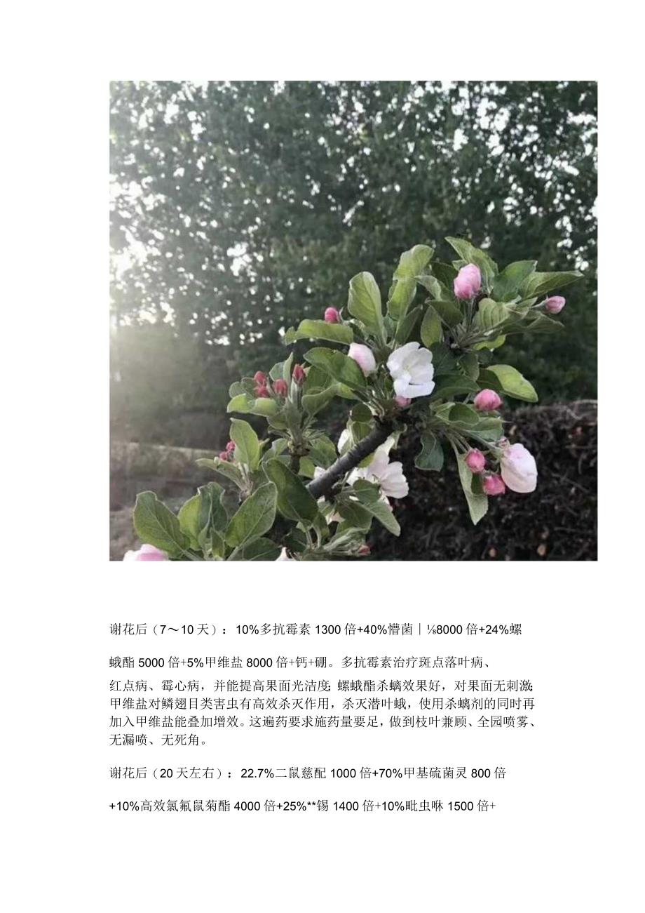 苹果园病虫害防治全年用药方案.docx_第2页