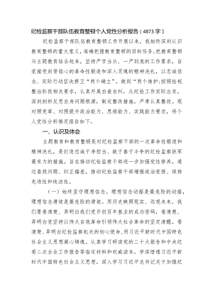 纪检监察干部队伍教育整顿个人党性分析报告.docx