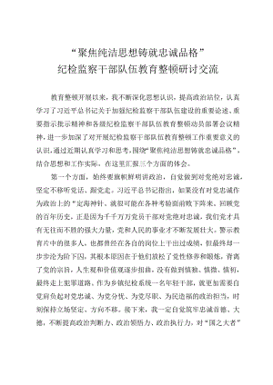纪检监察干部队伍教育整顿研讨交流提纲.docx