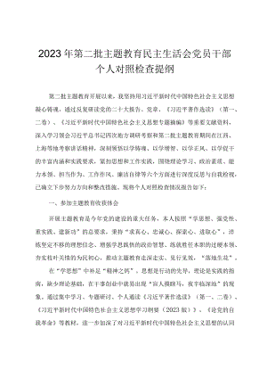 第二批主题教育民主生活会党员干部个人对照检查提纲.docx
