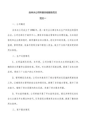 自来水公司年度总结报告范文.docx