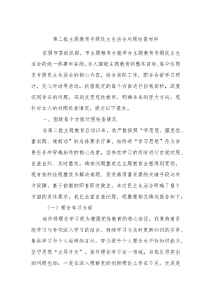 第二批主题教育专题民主生活会对照检查材料.docx