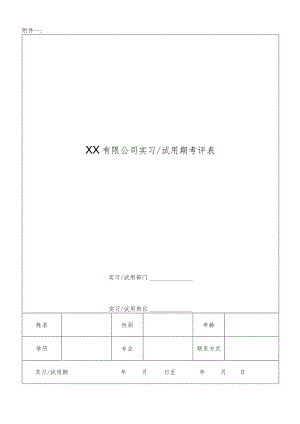 试用期考评表.docx