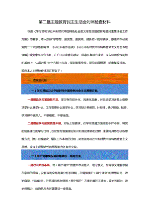 第二批主题教育民主生活会对照检查材料.docx